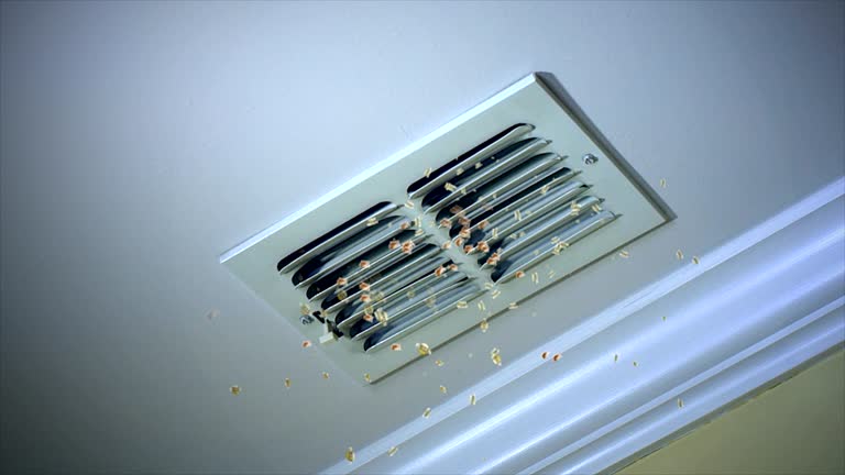 Best HVAC Air Duct Cleaning  in Iona, ID