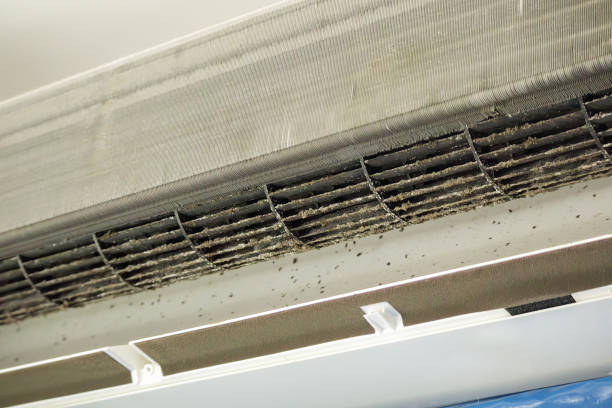 Best Dryer Vent Cleaning Services  in Iona, ID