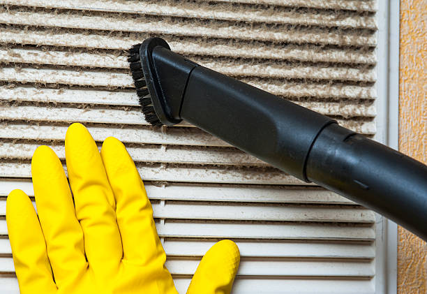 Best Air Vent Cleaning Services  in Iona, ID