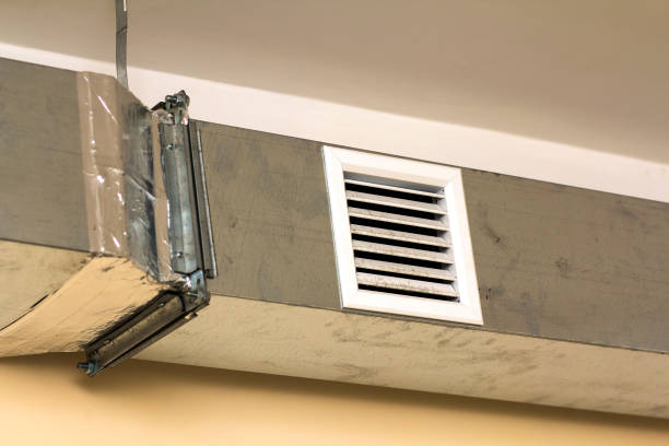 Best Air Duct Sanitizing Services  in Iona, ID